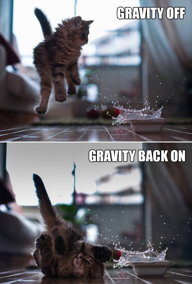 gravity (1).jpg