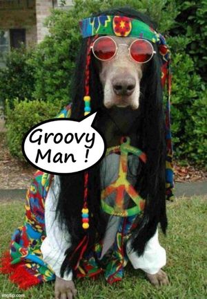 groovy.jpg