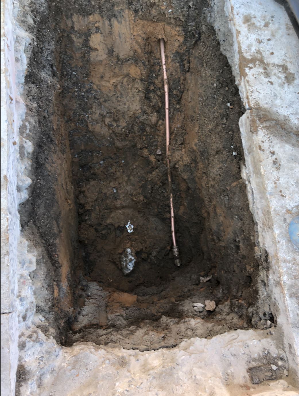 H4-MIN785-6.JPG