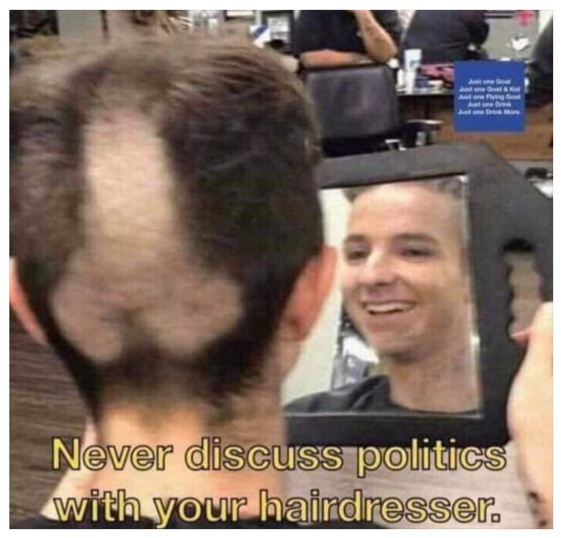 hairdresser politics.png