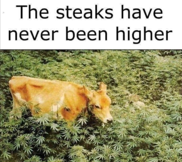 hi steaks.jpg