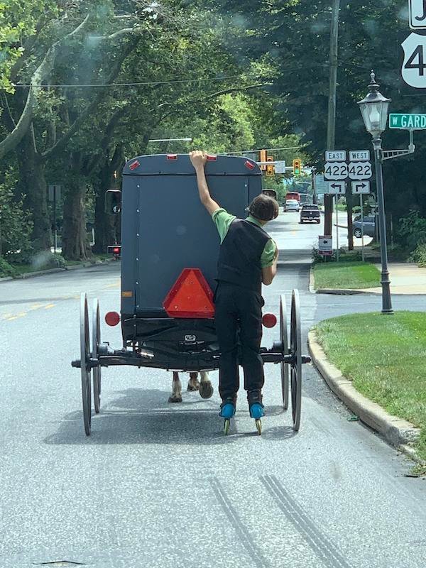 hitchhiker.jpeg