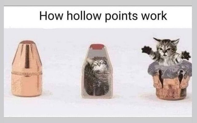 hollow_points.jpg