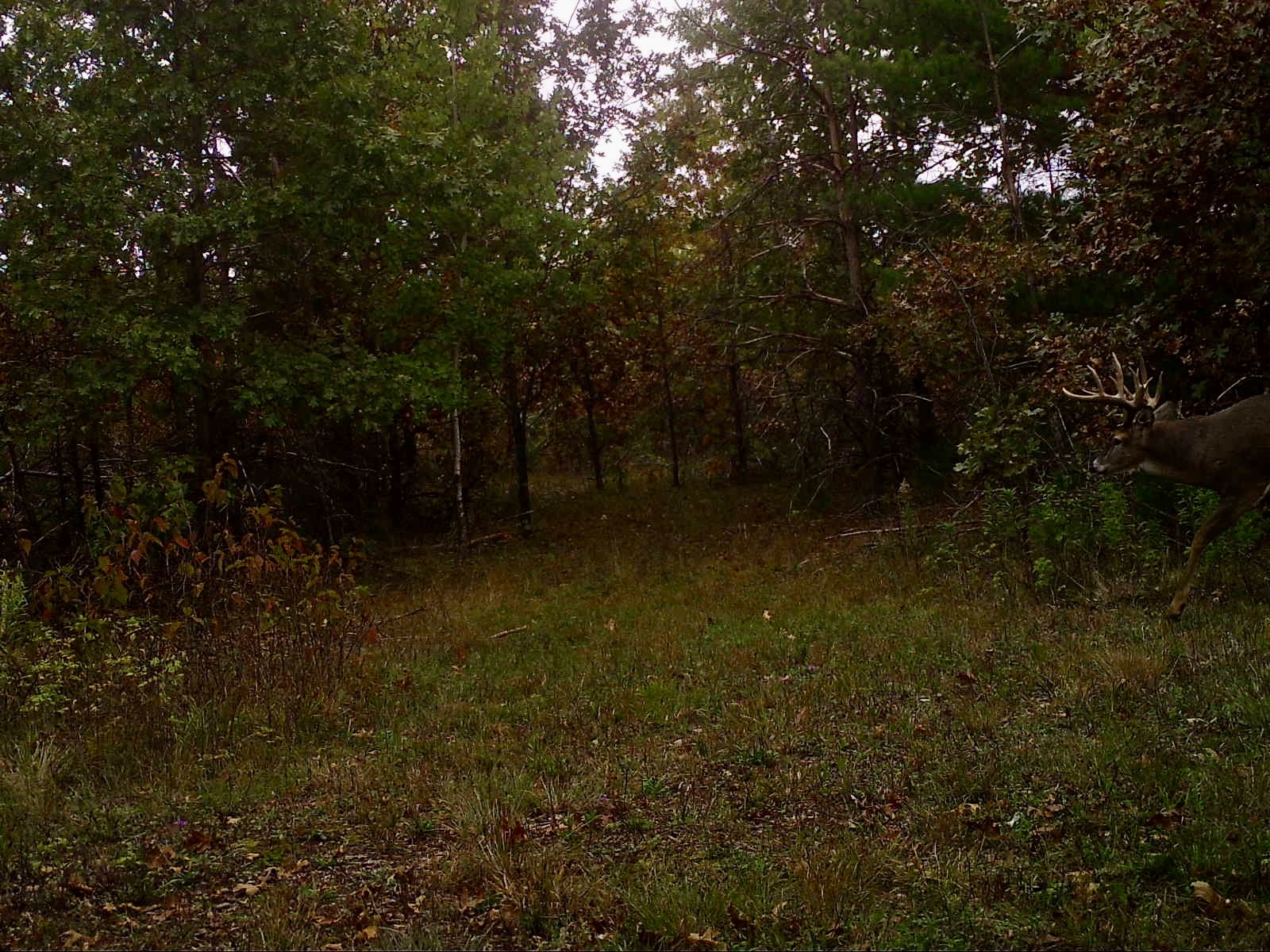 Image 2.jpg