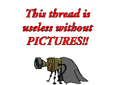 IMG_0163.gif