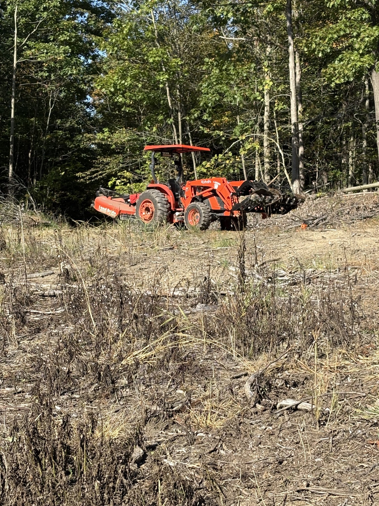 IMG_0431.jpeg
