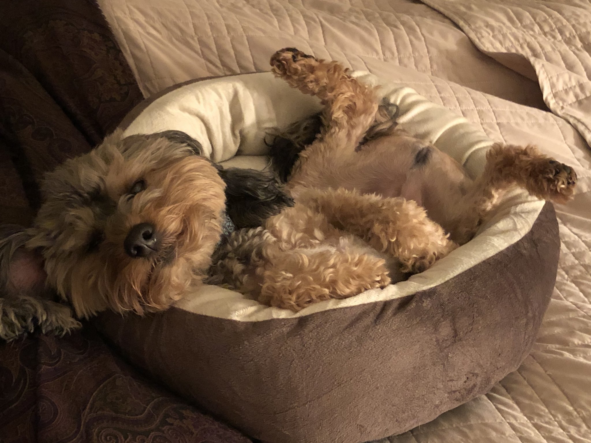 IMG_0569.jpeg