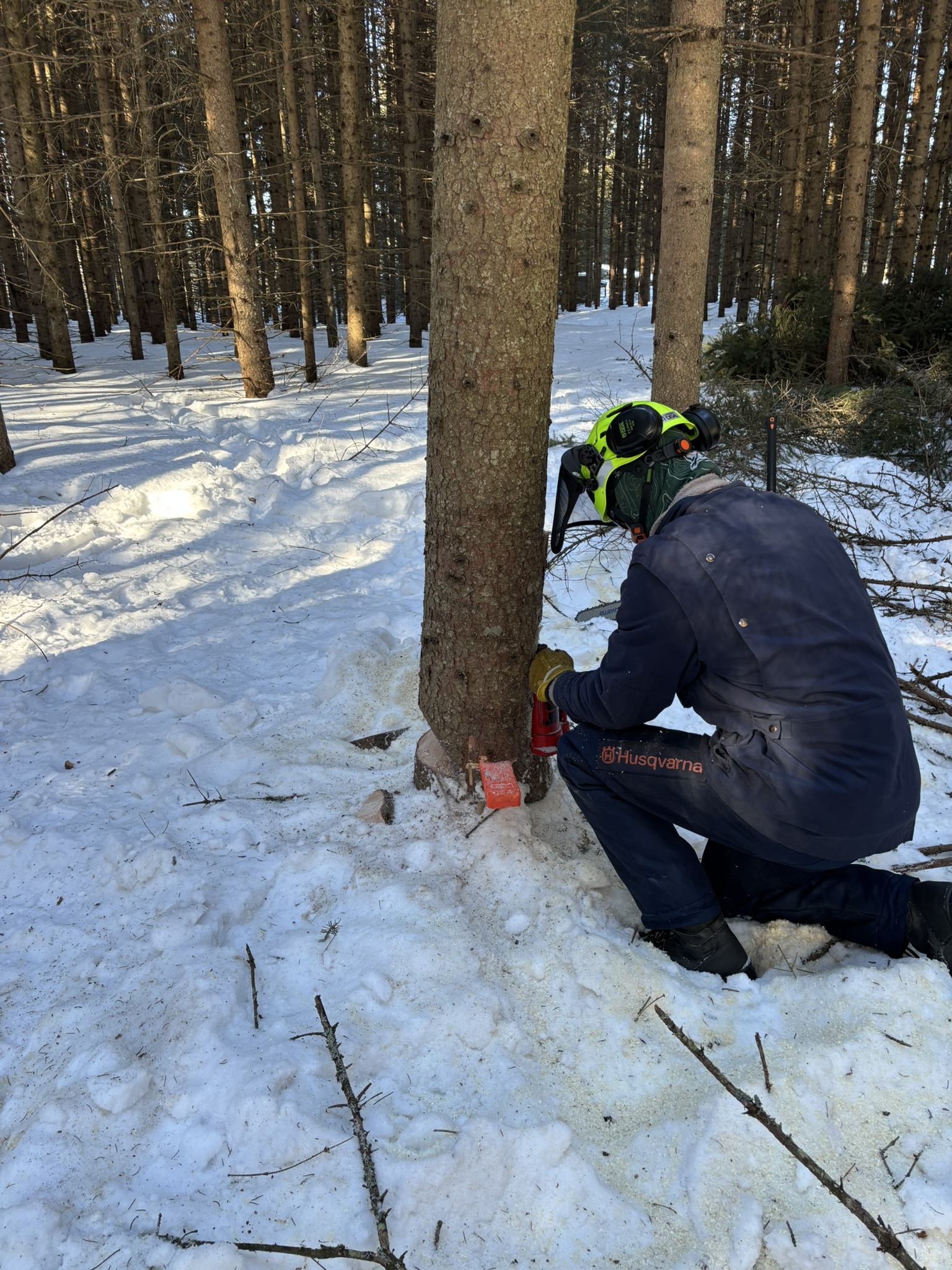 IMG_1293 - Copy.JPEG