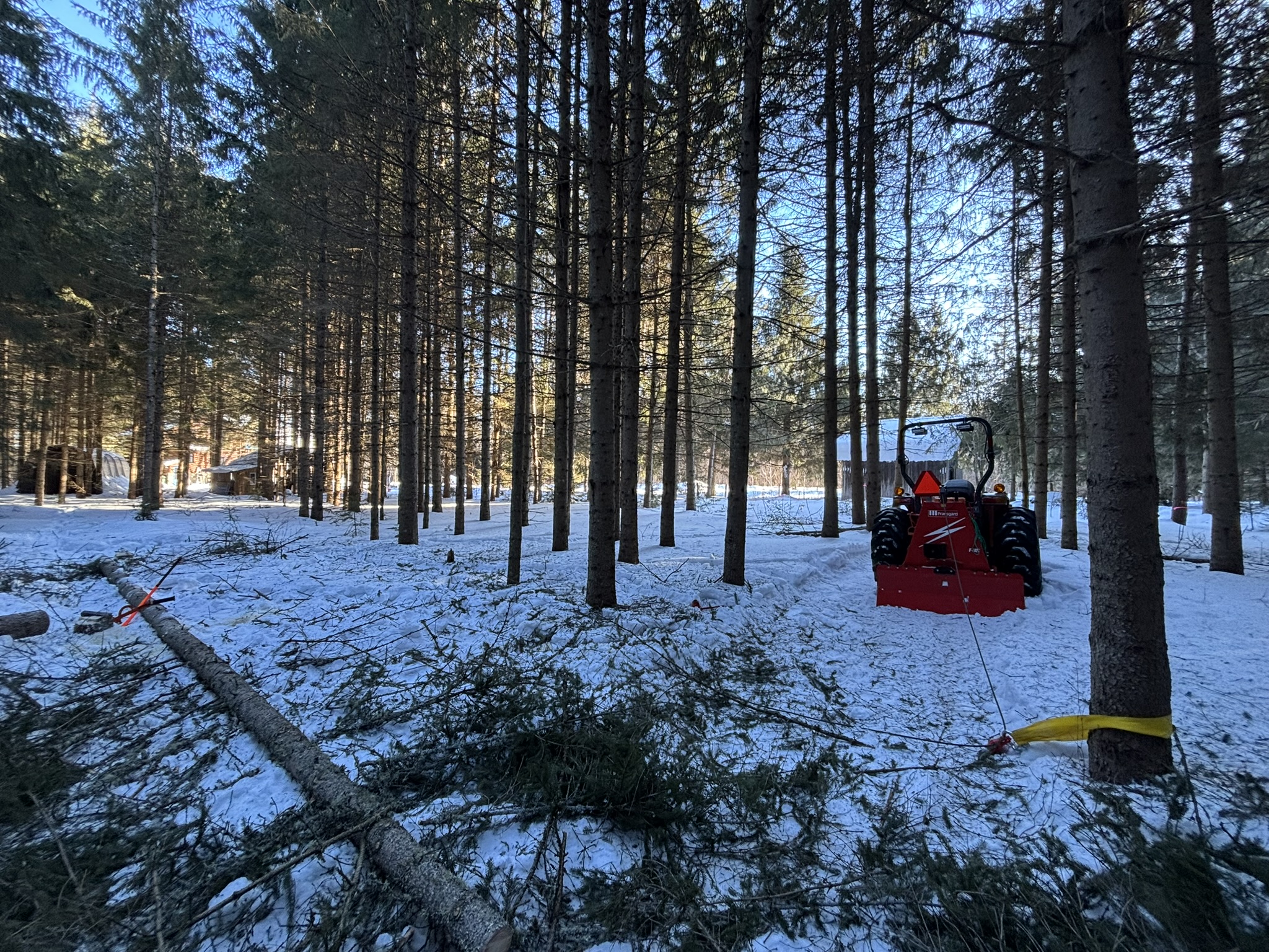 IMG_1295 - Copy.JPEG