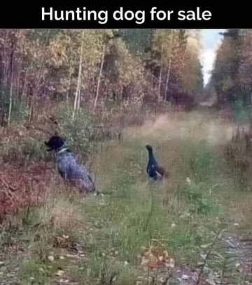 IMG_1503.jpeg