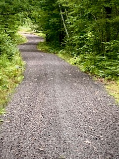 IMG_1529.jpg