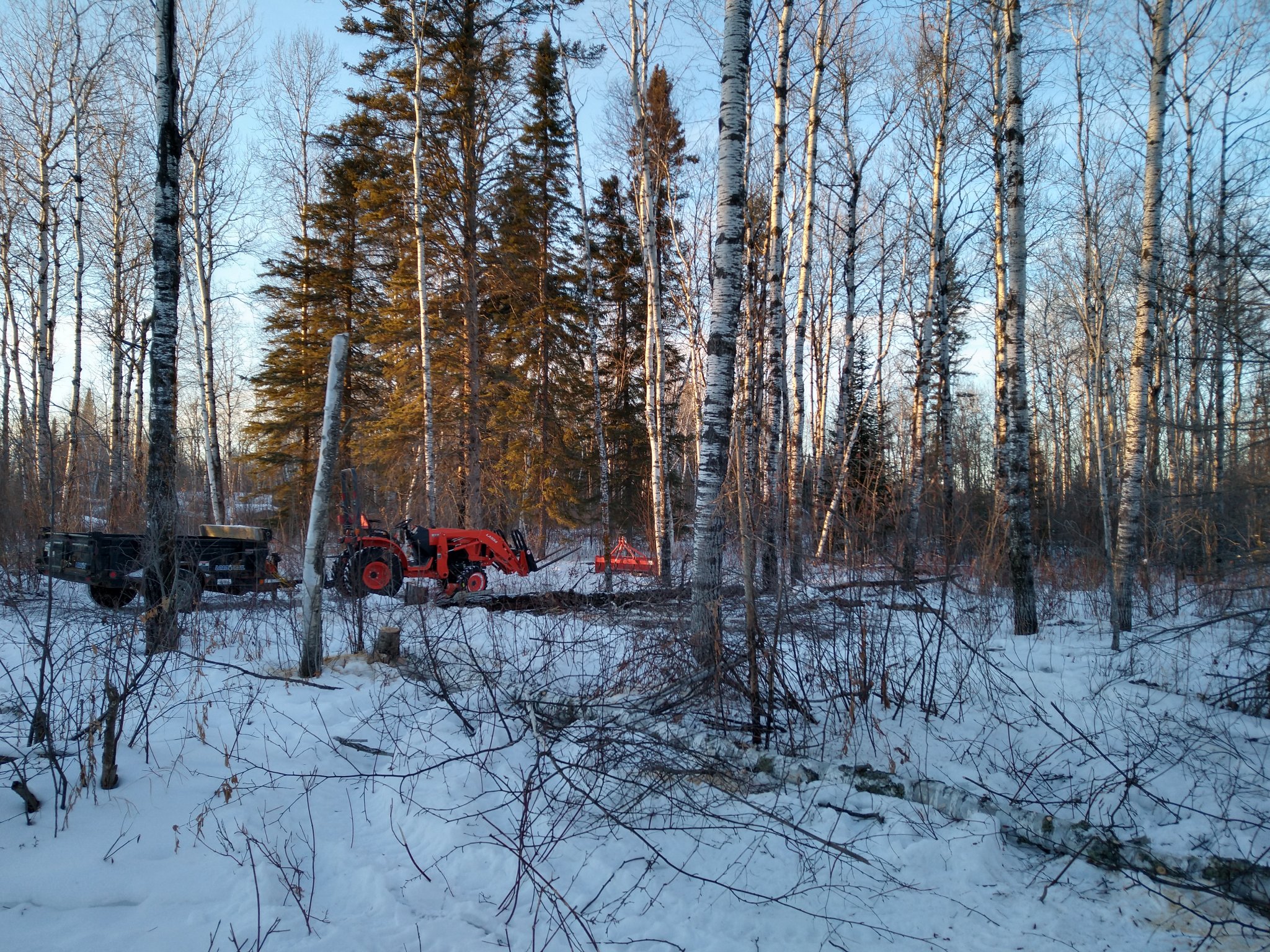 IMG_20210124_163402164_HDR.jpg