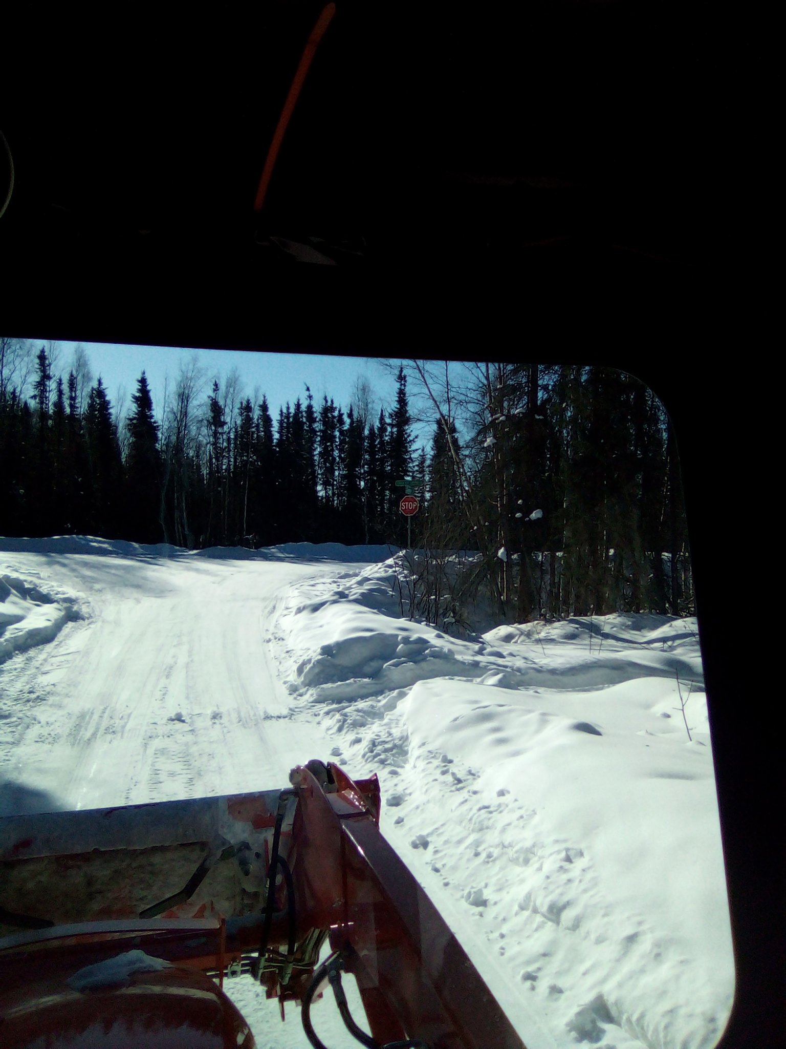 IMG_20210320_125309_5.jpg