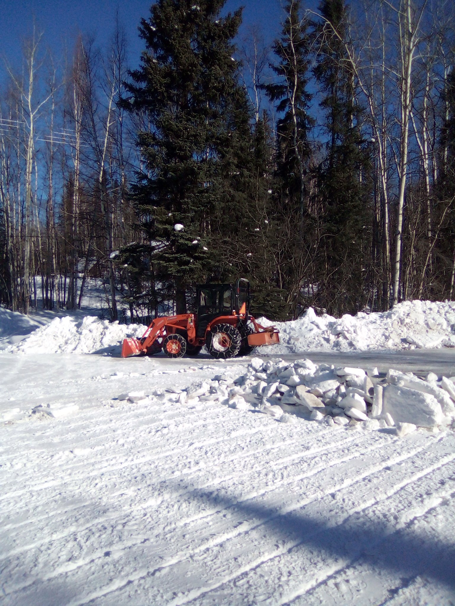 IMG_20210320_131945_3.jpg
