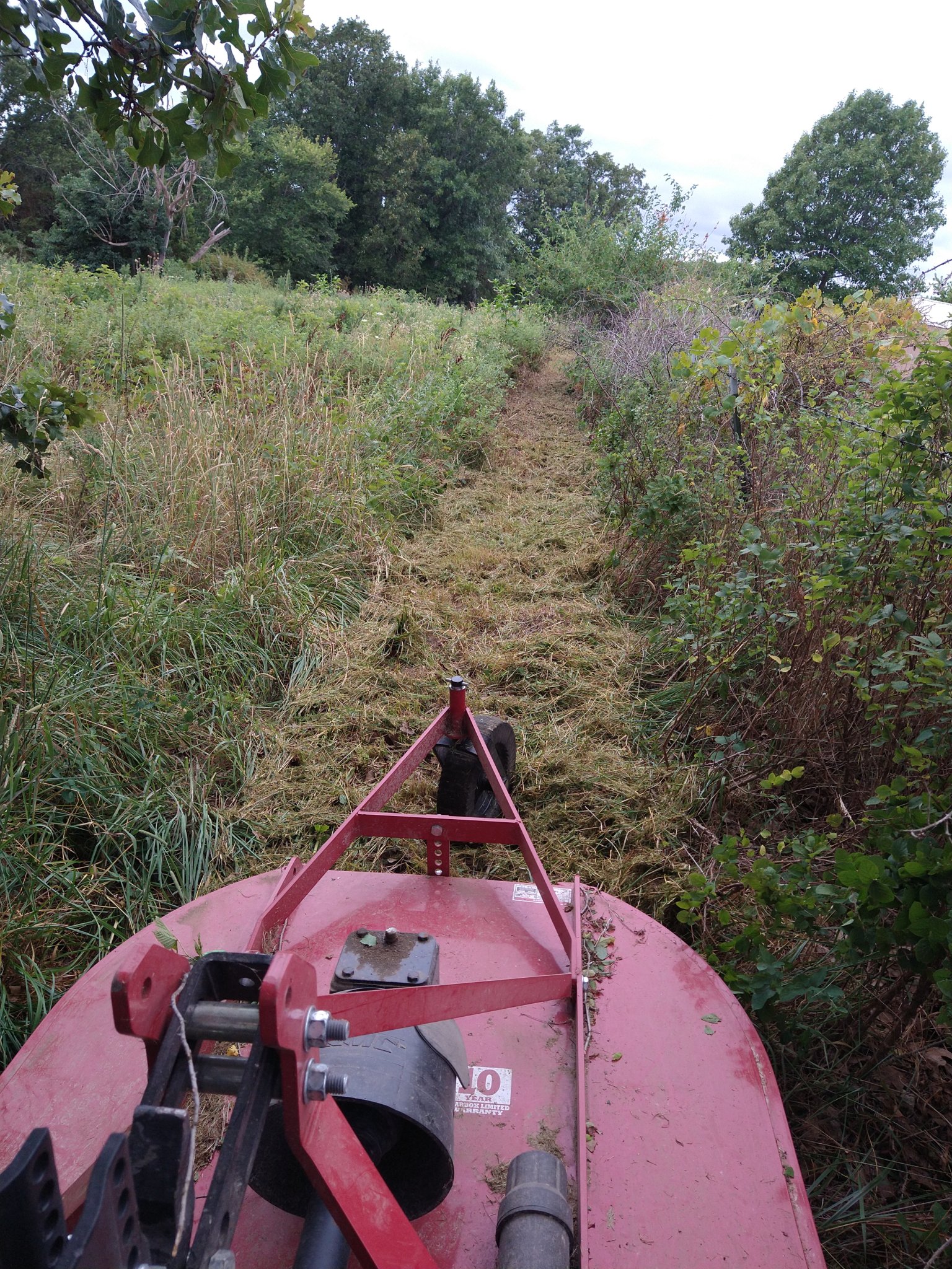 IMG_20220709_102223447.jpg