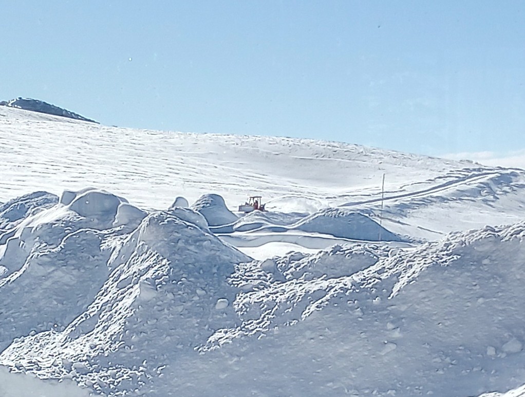 IMG_20230130_101737311_HDR~2.jpg