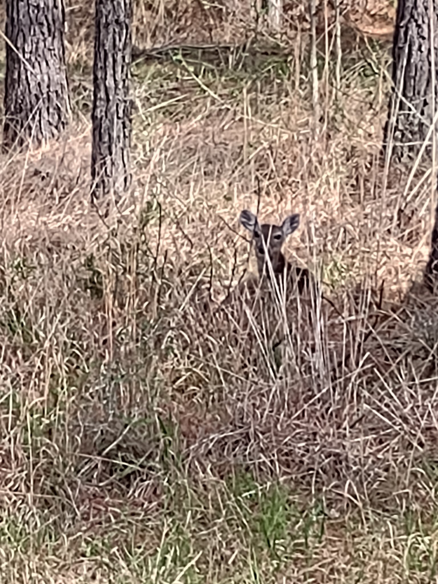 IMG_20230404_102019462.jpg