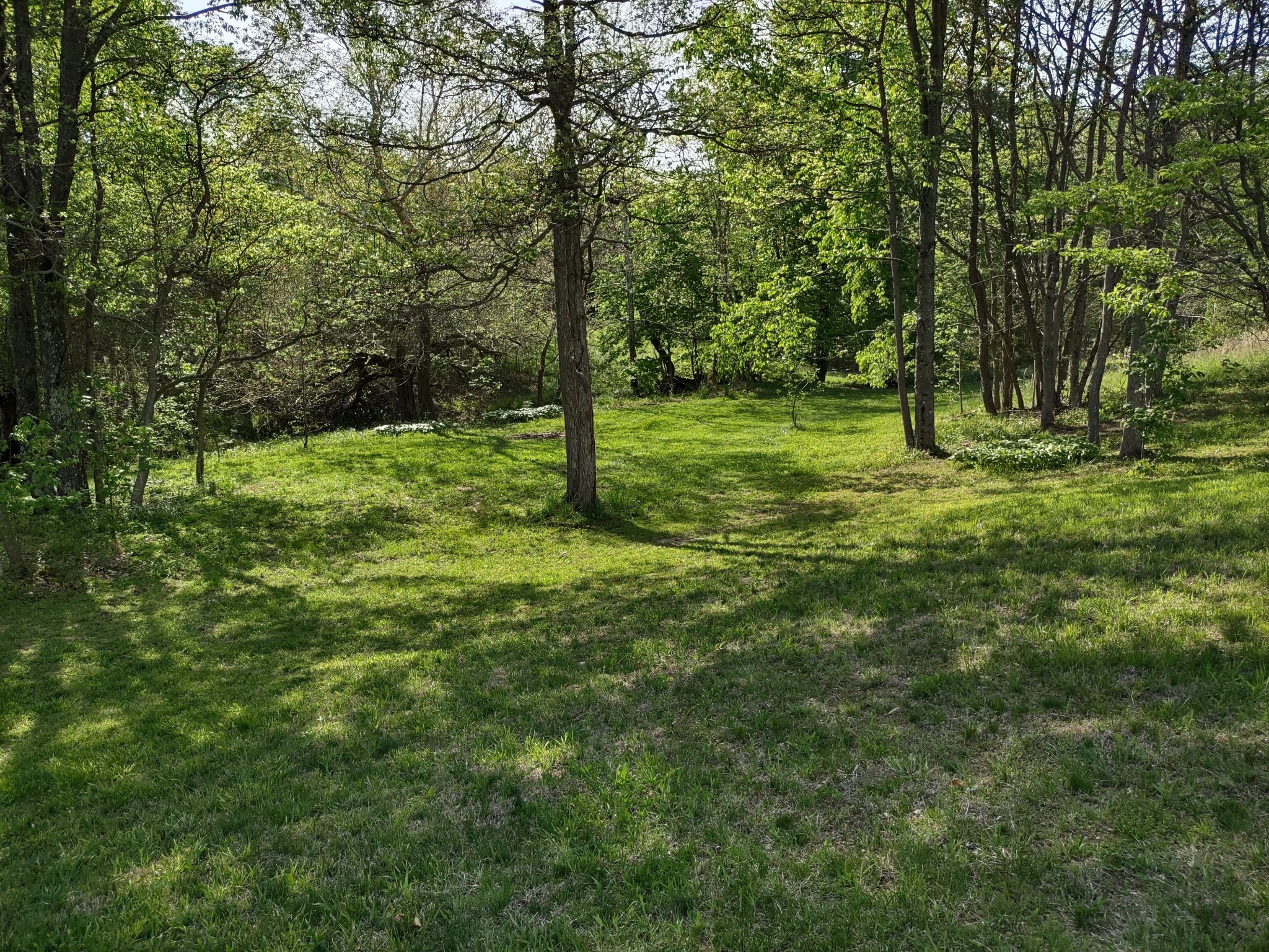 IMG_20230511_173337826_HDR.jpg
