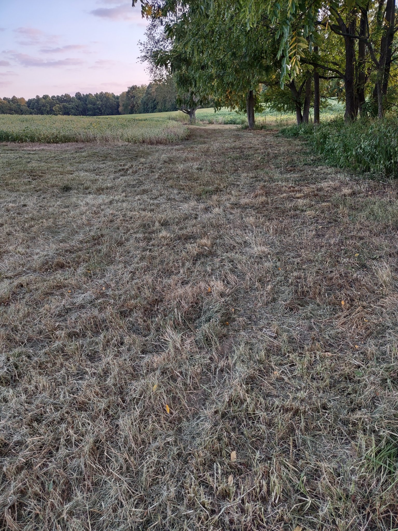 IMG_20230914_193412324_HDR.jpg