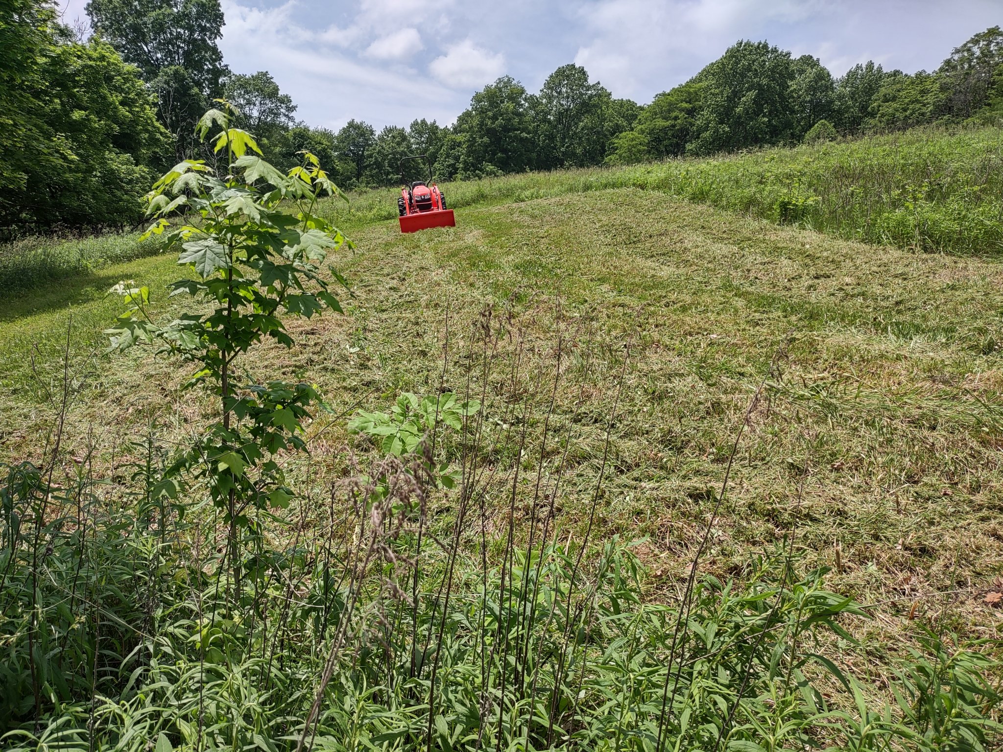 IMG_20240524_143357194_HDR.jpg