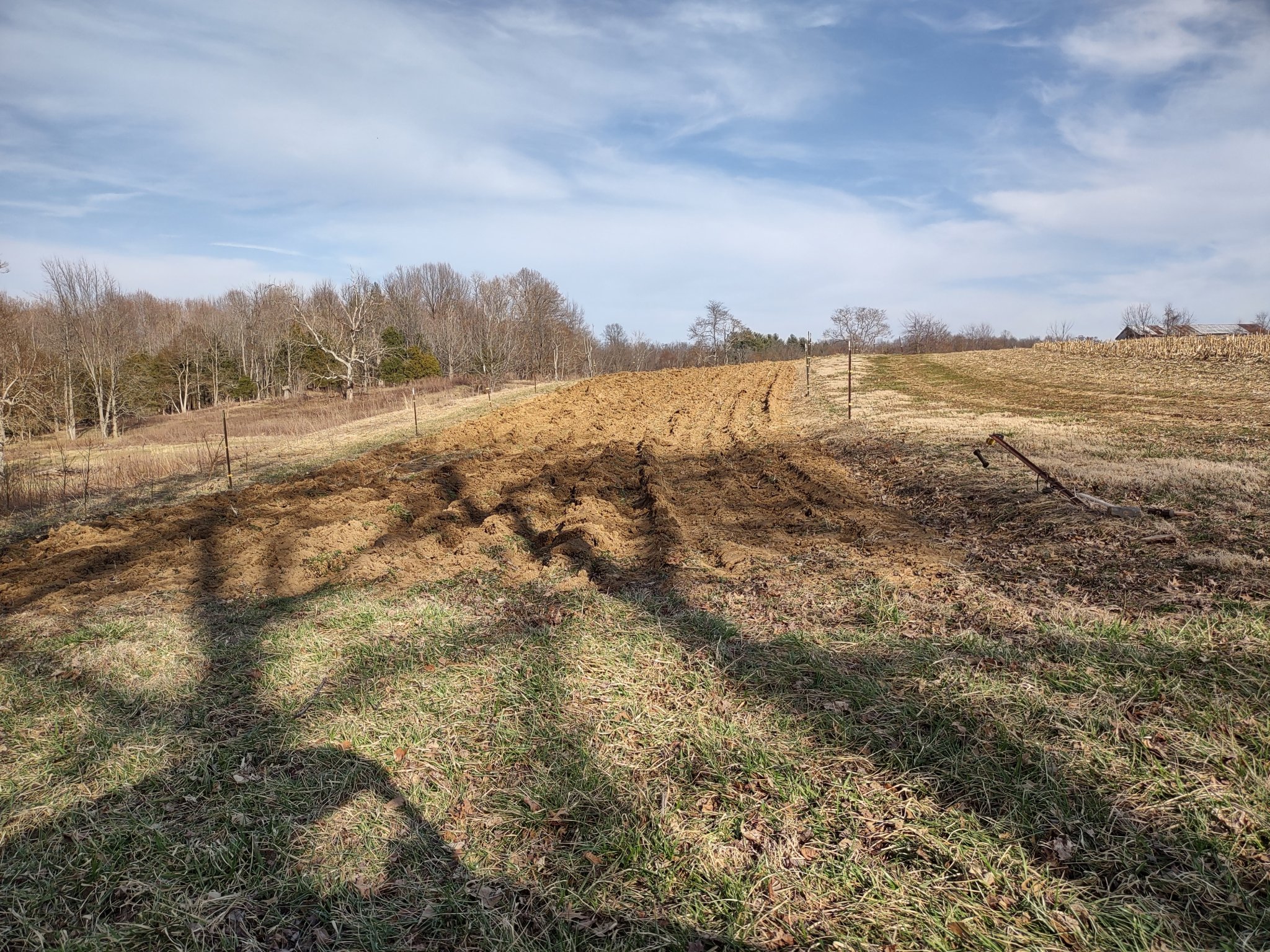 IMG_20250312_171952604_HDR.jpg