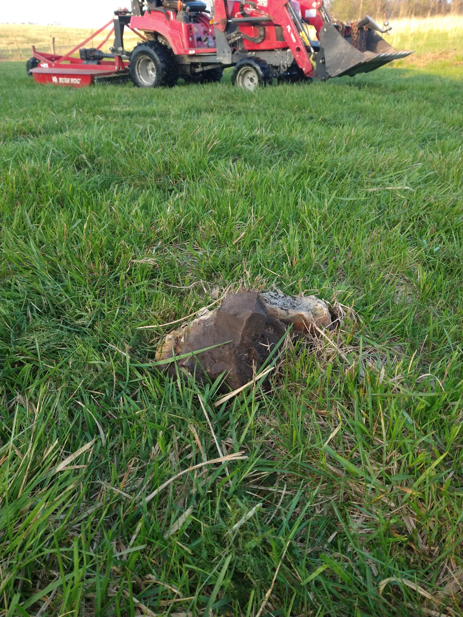 IMG_20250412_071853639.jpg