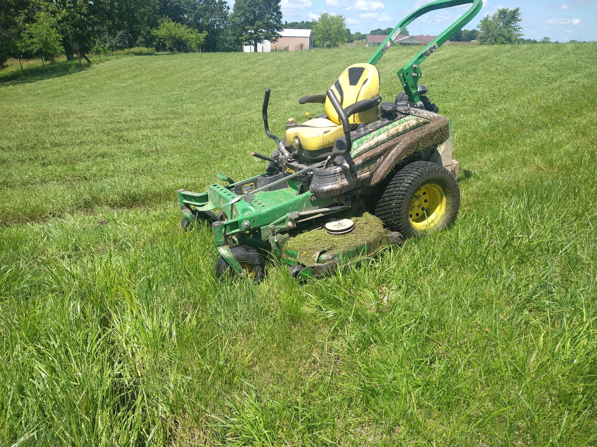 IMG_20250608_113902768.jpg