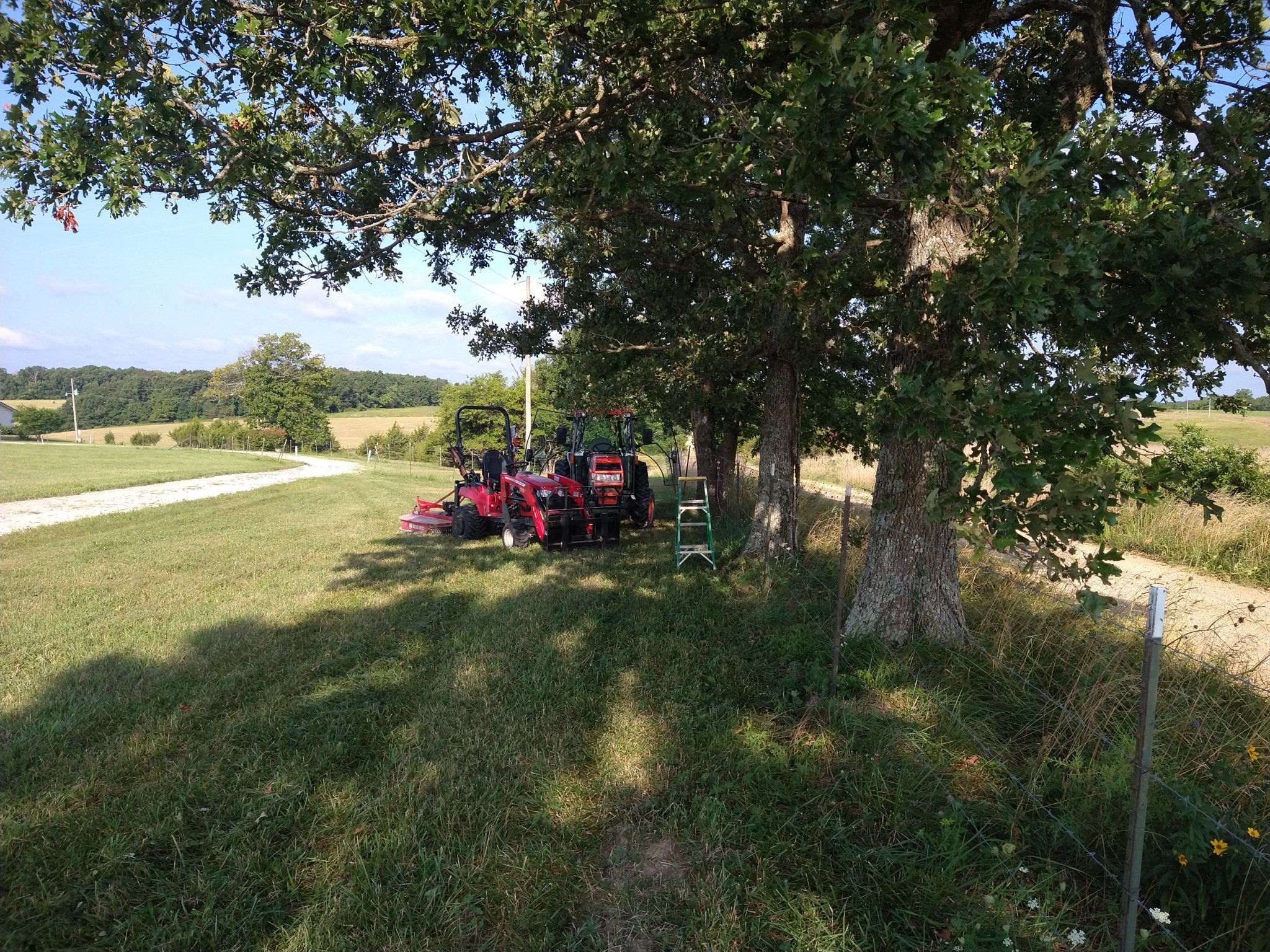 IMG_20250727_084828270.jpg