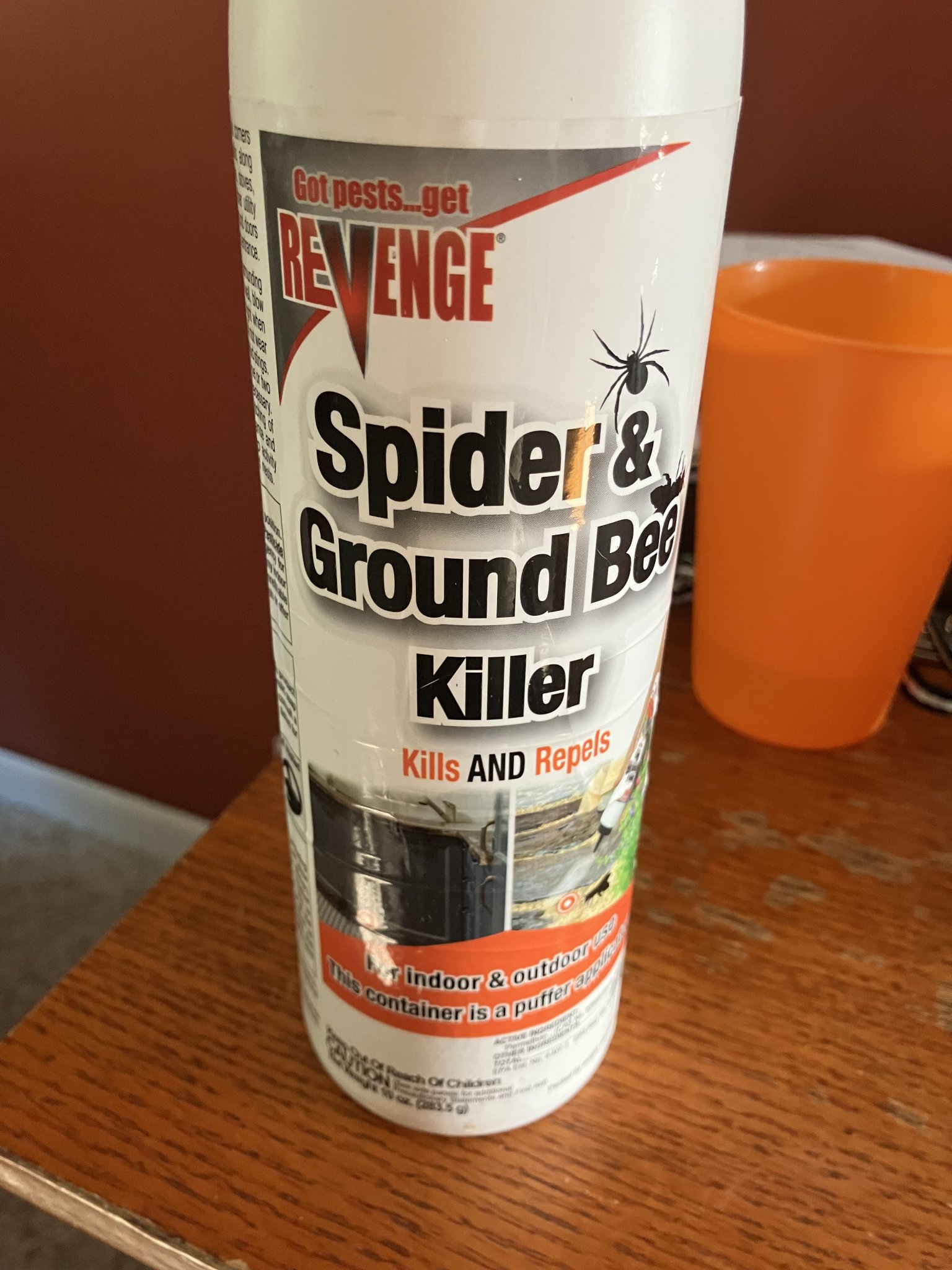 IMG_2306.jpeg