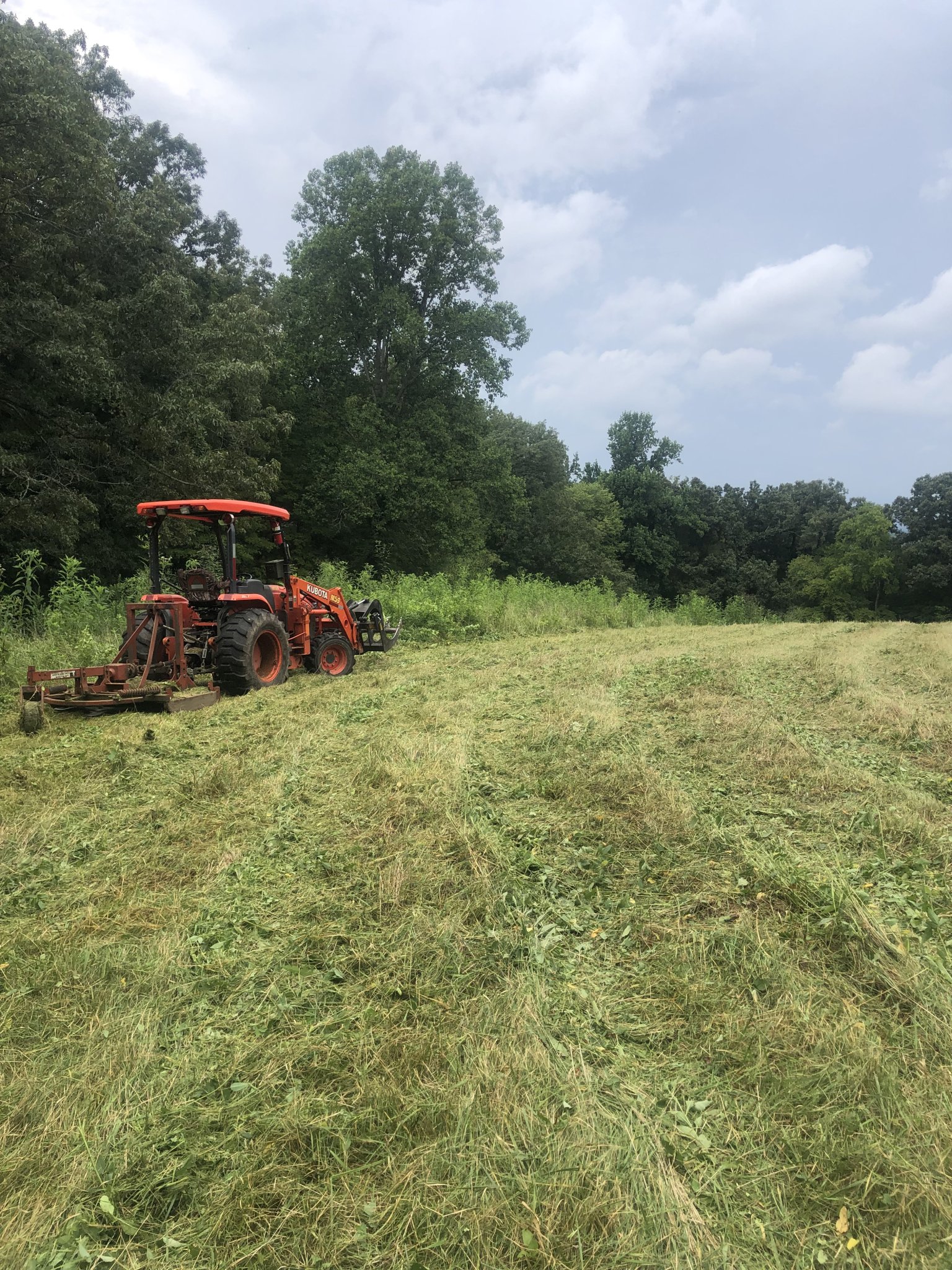 Brown tree cutter OrangeTractorTalks Everything Kubota