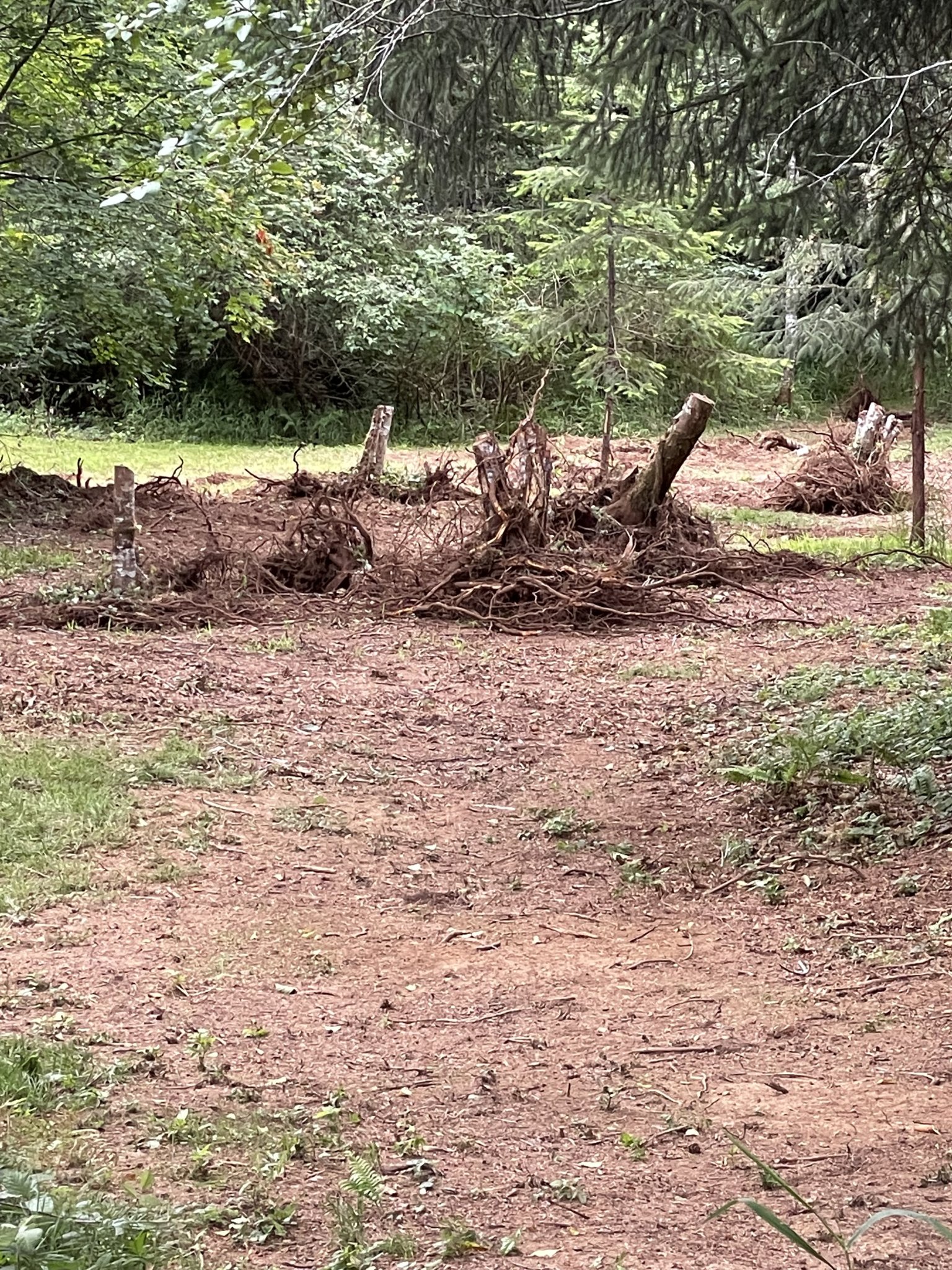 IMG_4190.jpeg