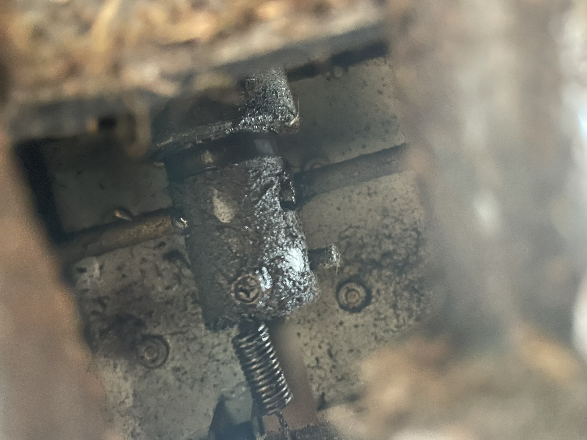 IMG_5336.JPEG