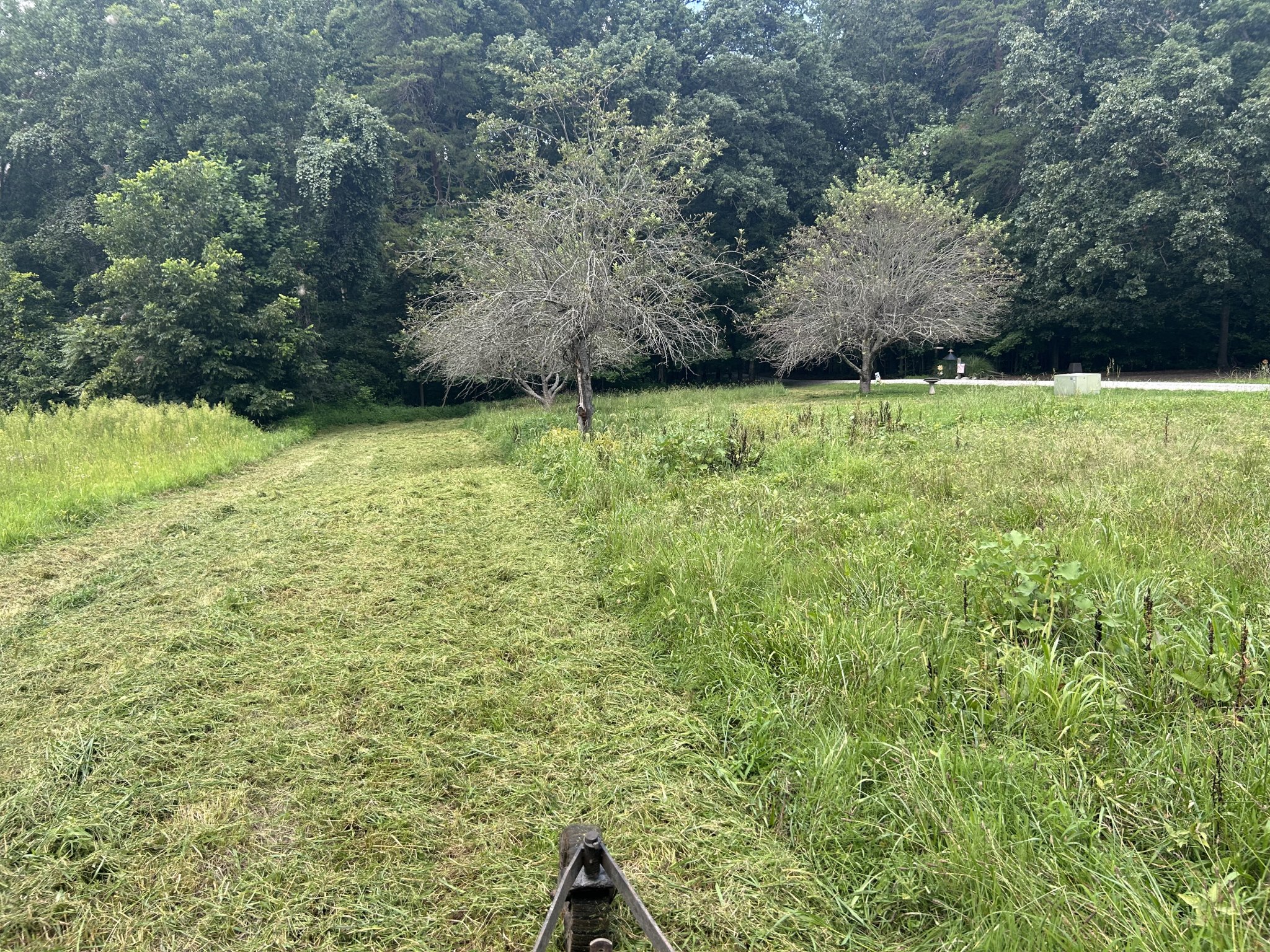 IMG_6102.jpeg