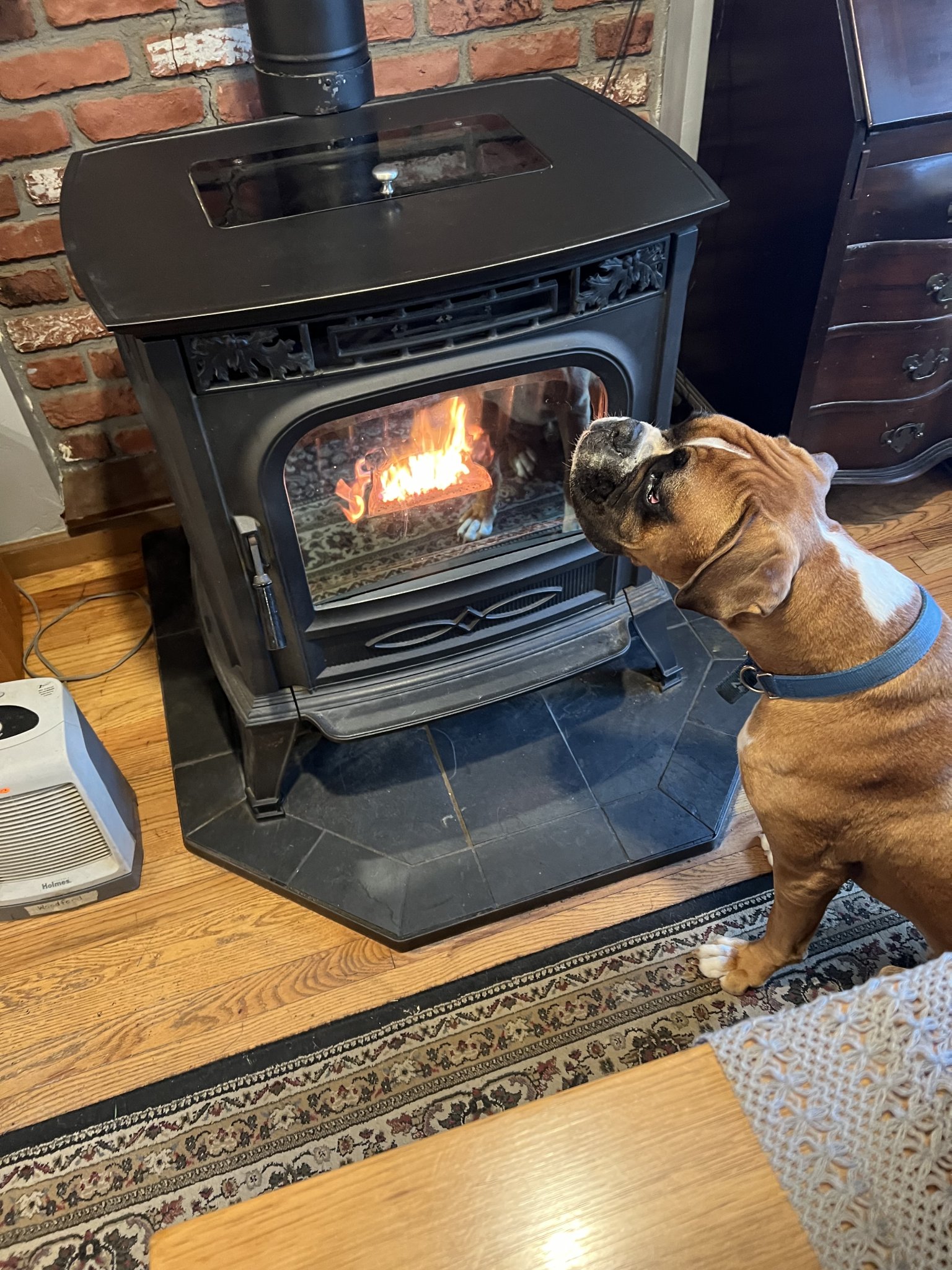 IMG_6108.jpeg
