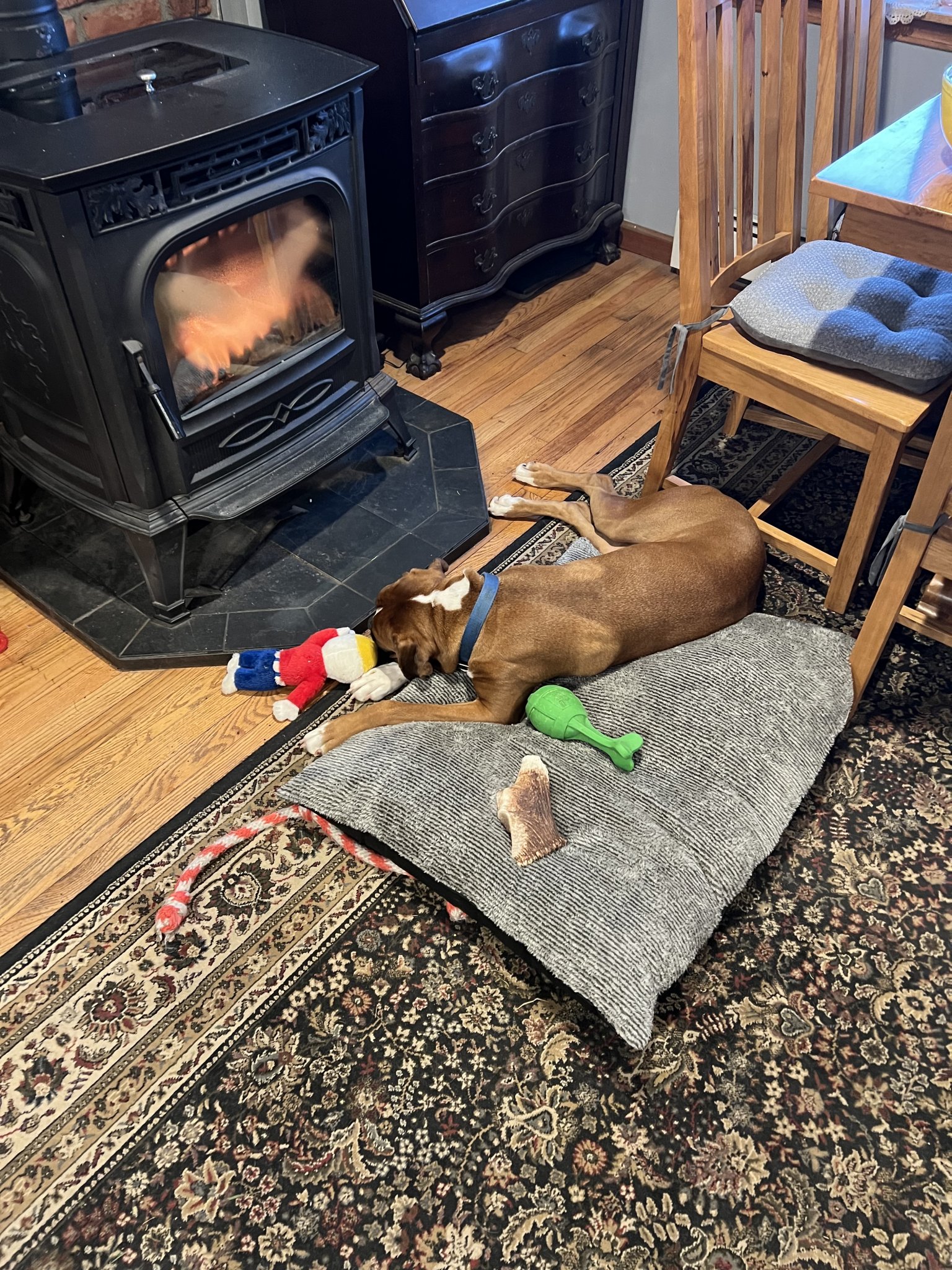 IMG_6403.jpeg