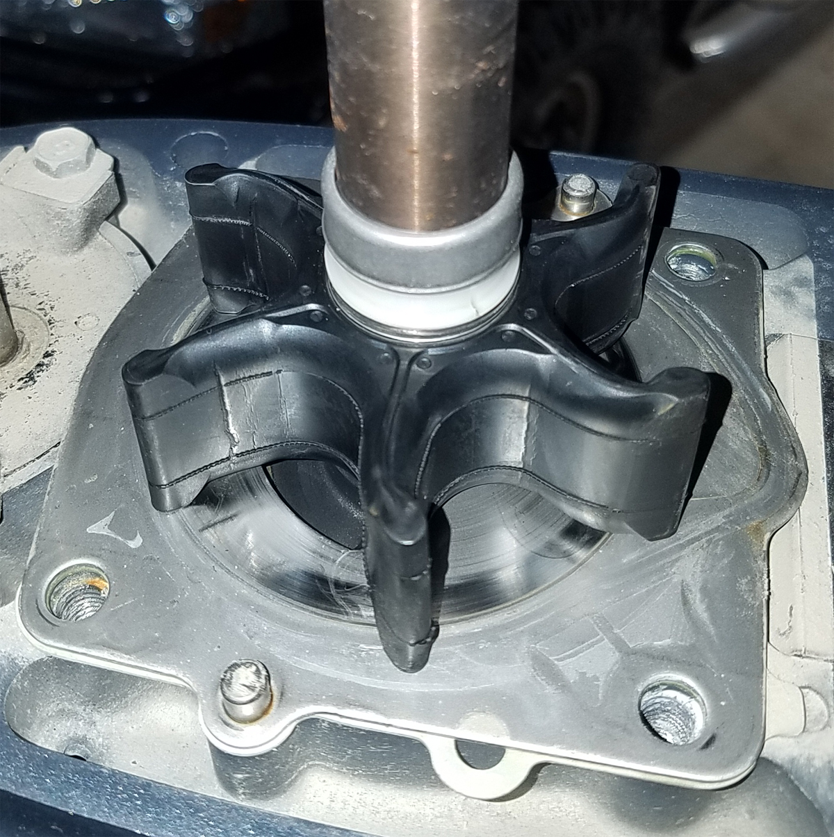 impeller_2.jpg