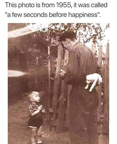 j5 seconds.jpg