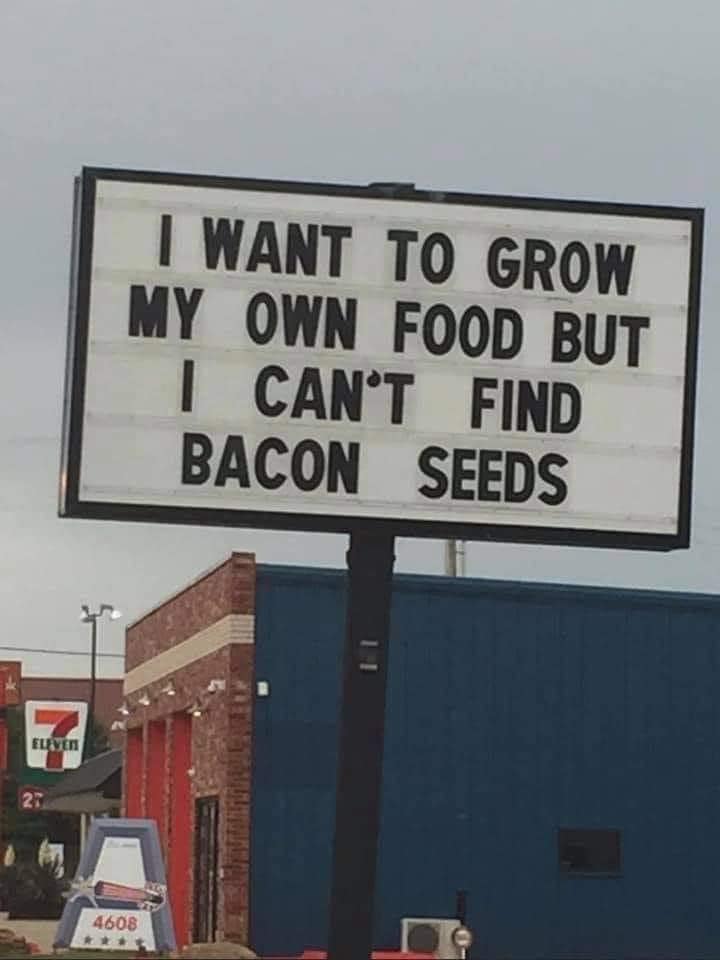 jBaconSeed.jpg