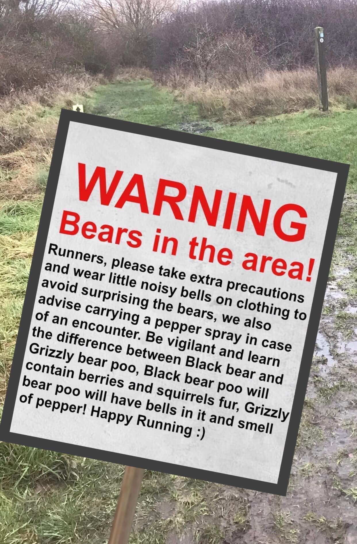 jBearPoo.jpg