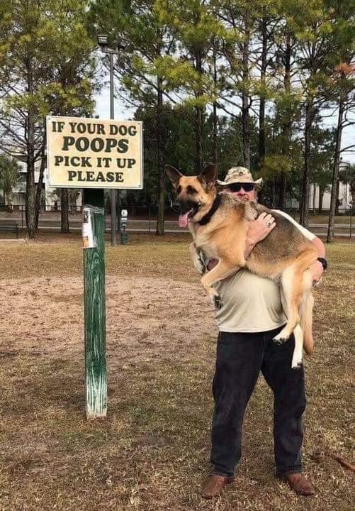jDogPoops.jpg