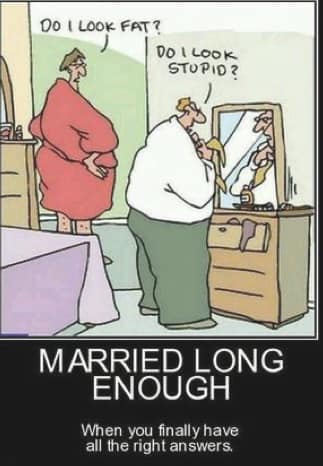 jLookFat Stupid.jpg