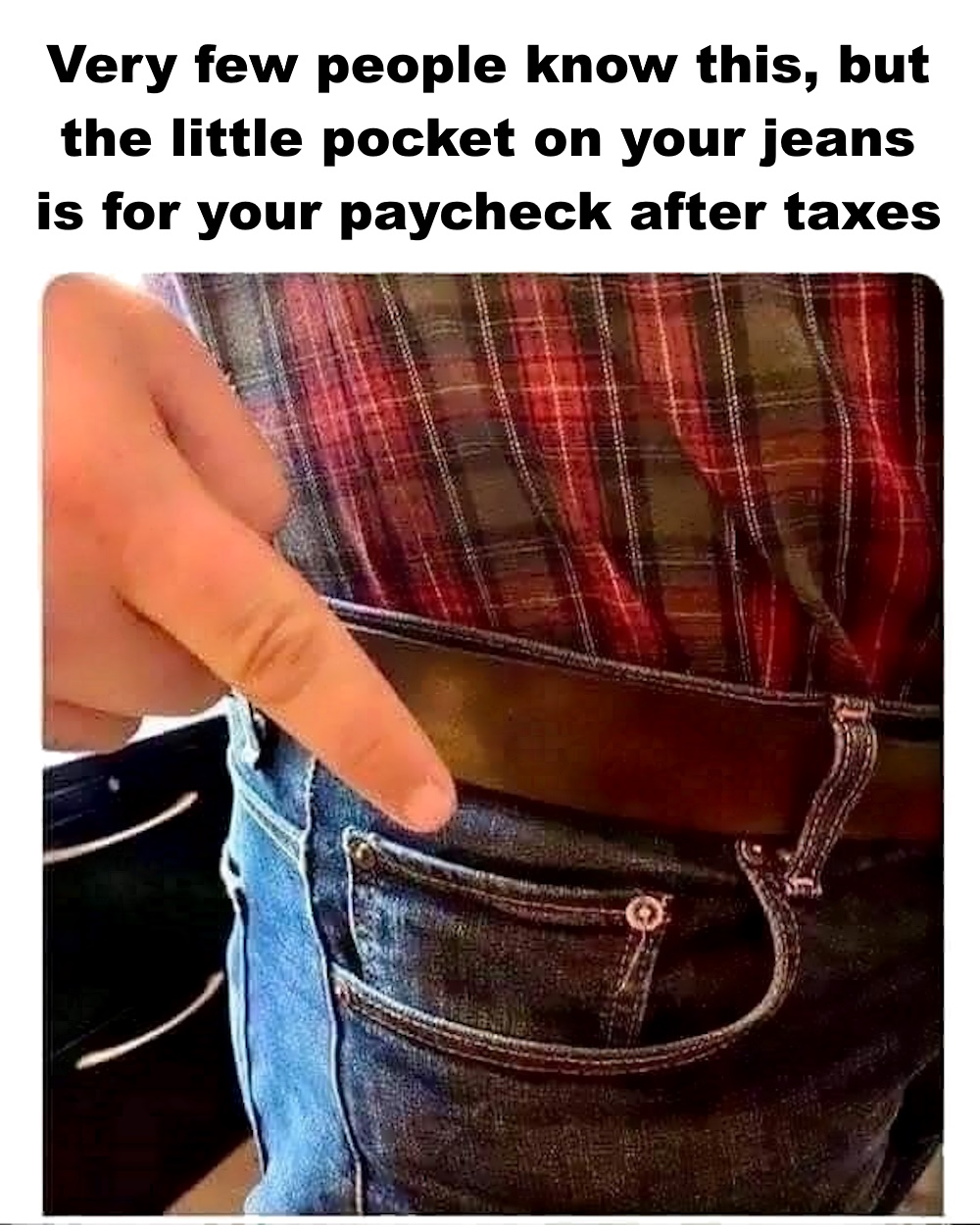 jPaycheck holder.jpg