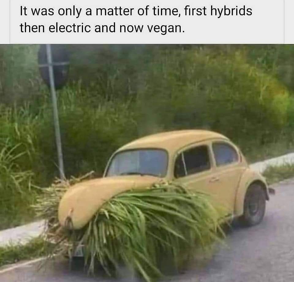 jVeganCar.jpg