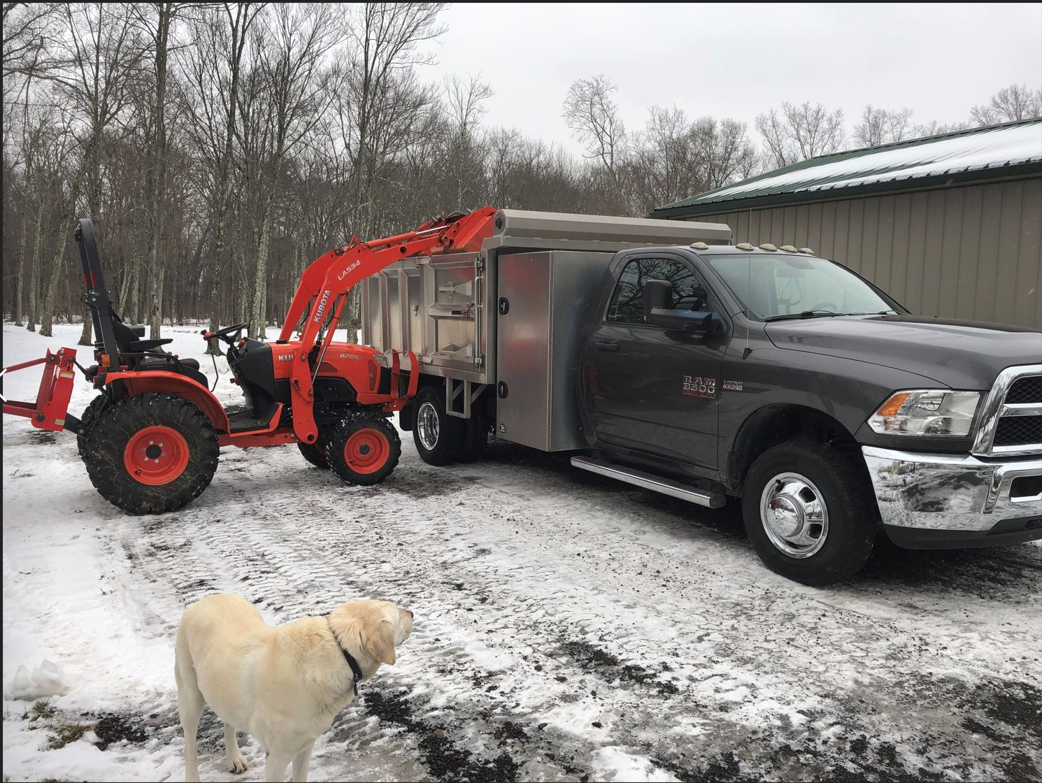 Kubota Dump 2.JPG