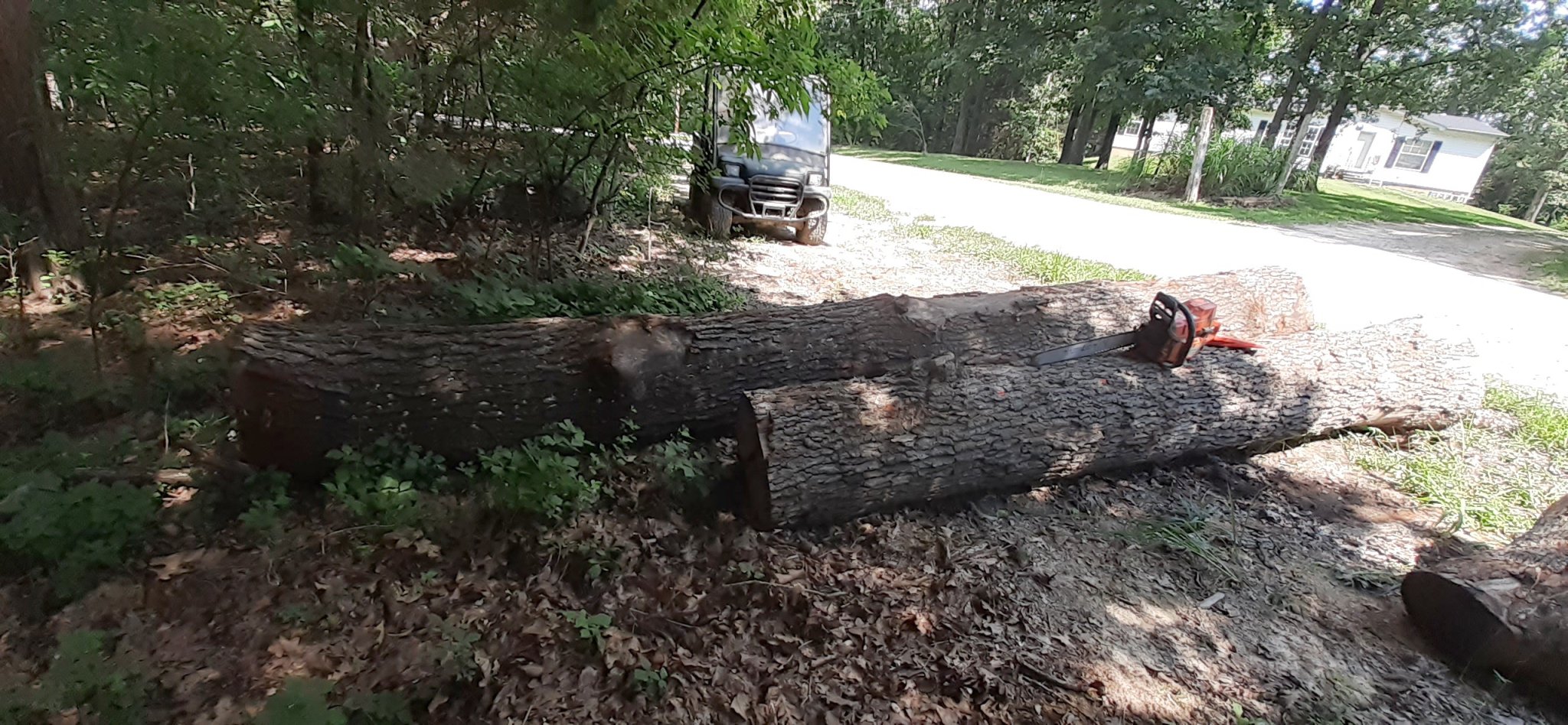 last_cull_log.jpg