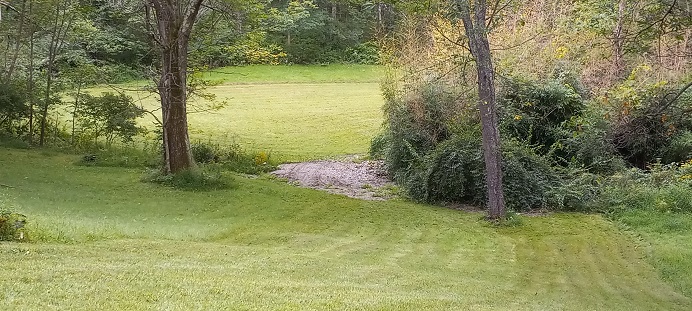lawn.jpg