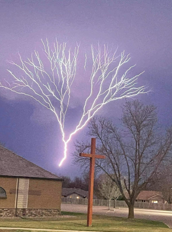 lightning tree.png