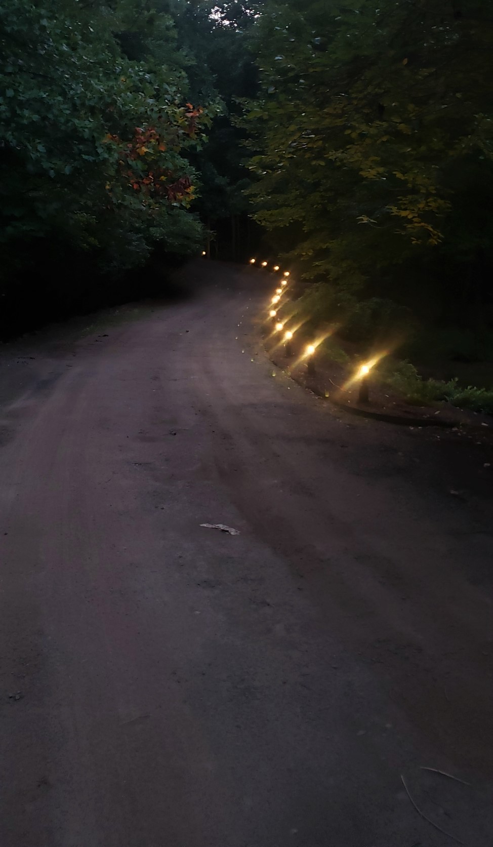 lights driveway 2.jpg