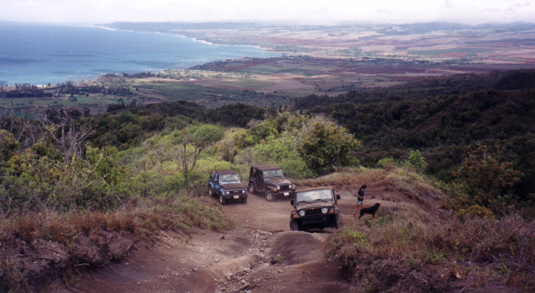 Lower trail.JPG