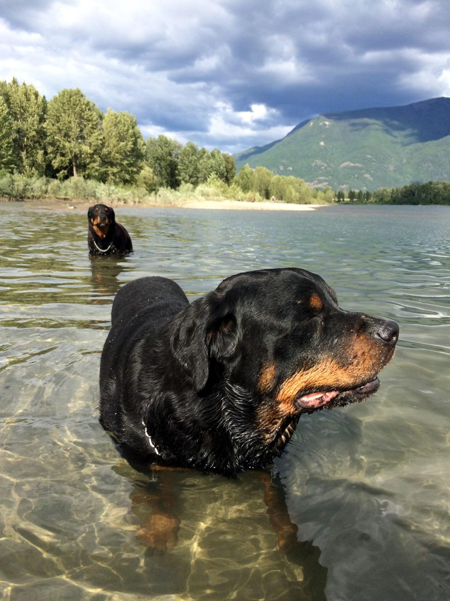 Luka&Lilli.jpg